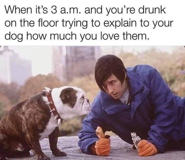 Alcohol Memes And Pictures (24 pics)