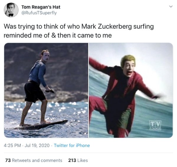 Mark Zuckerberg Surfing Face (24 pics)