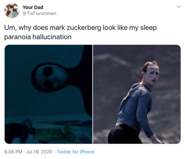 Mark Zuckerberg Surfing Face (24 pics)