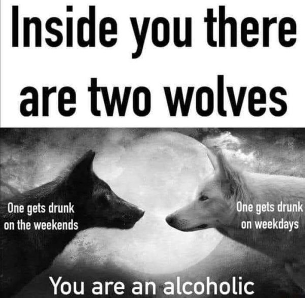 Alcohol Memes And Pictures (24 pics)