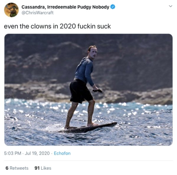 Mark Zuckerberg Surfing Face (24 pics)