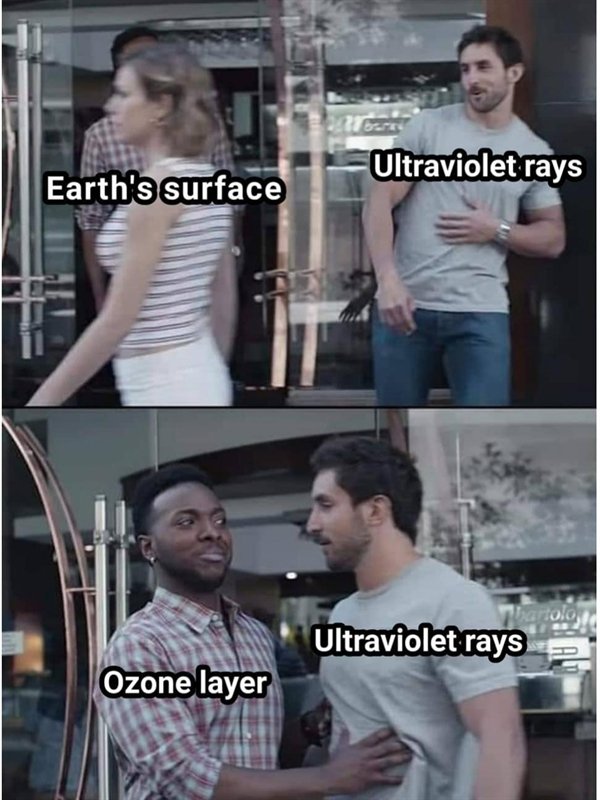 Random Funny Memes (29 pics)