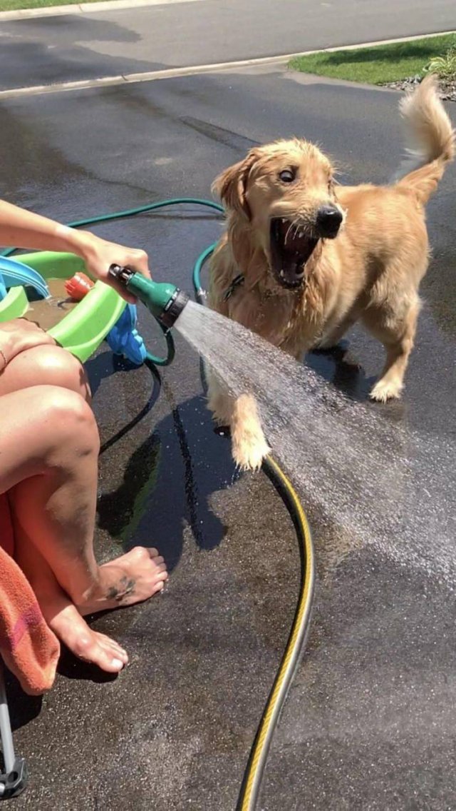 Acid Picdump. Part 1 (96 pics)