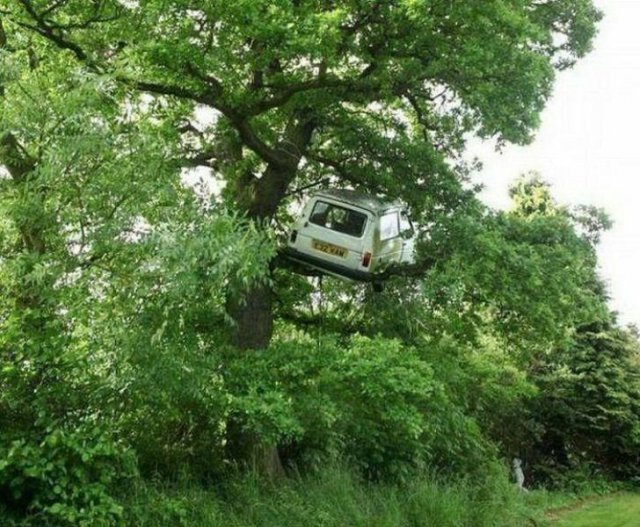 Acid Picdump. Part 1 (96 pics)