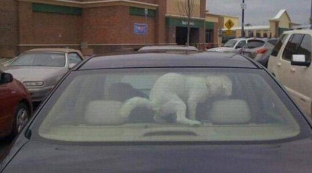 Acid Picdump. Part 1 (96 pics)