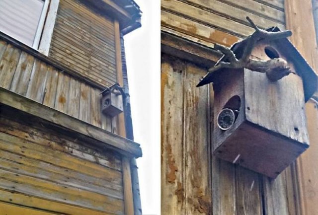 People Share Surprises They Found Inside Properties For Sale (19 pics)