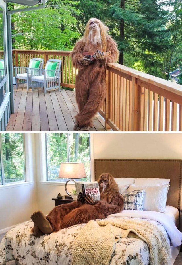People Share Surprises They Found Inside Properties For Sale (19 pics)