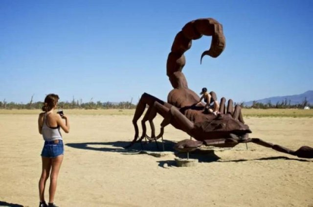 Comparison Matters (48 pics)