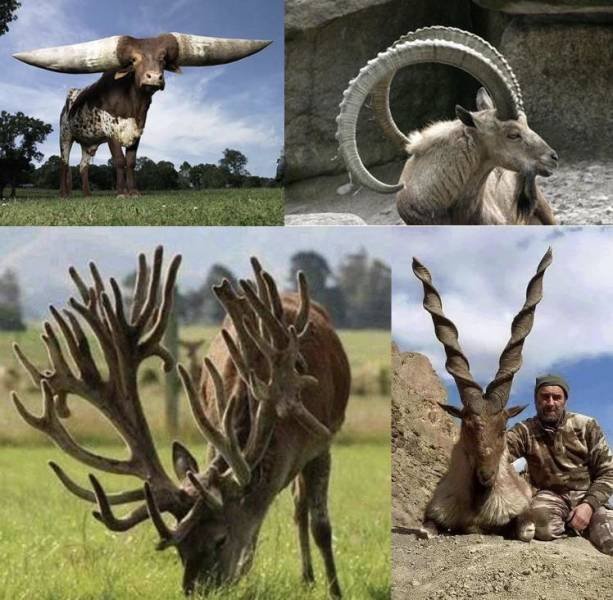 Comparison Matters (48 pics) Comparison Matters (48 pics)
