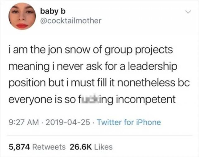 Group Projects Humor (32 pics)