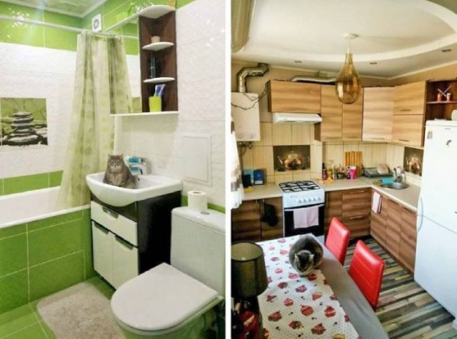 People Share Surprises They Found Inside Properties For Sale (19 pics)