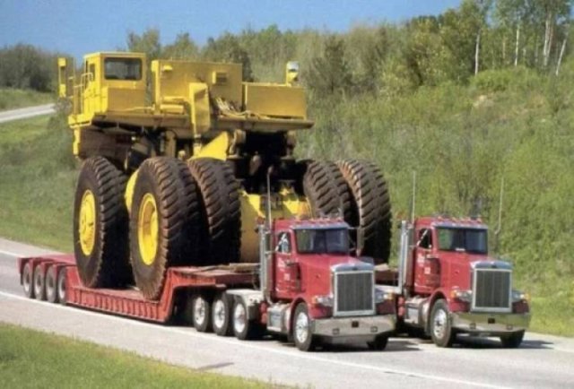 Comparison Matters (48 pics)