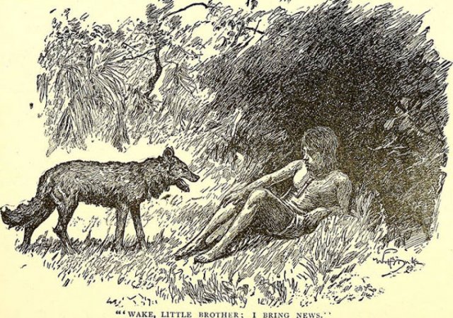 'Mowgli' Boy From 1872 (14 pics)