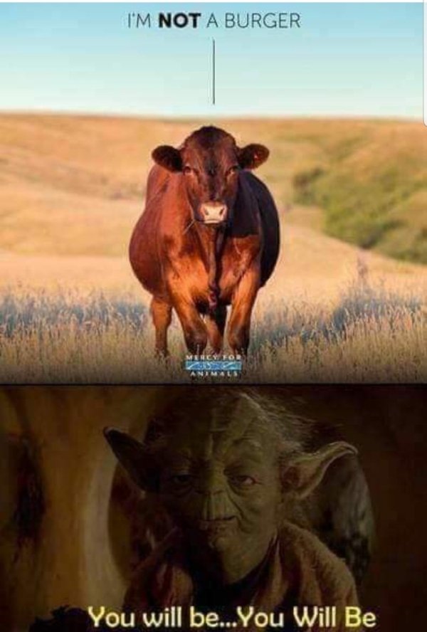 Dirty Humor (35 pics)