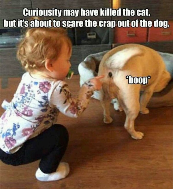 Dirty Humor (35 pics)