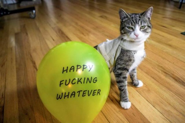 Acid Picdump. Part 1 (95 pics)