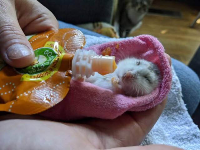 Acid Picdump. Part 1 (95 pics)