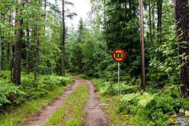 Acid Picdump. Part 1 (95 pics)