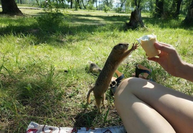 Acid Picdump. Part 1 (95 pics)