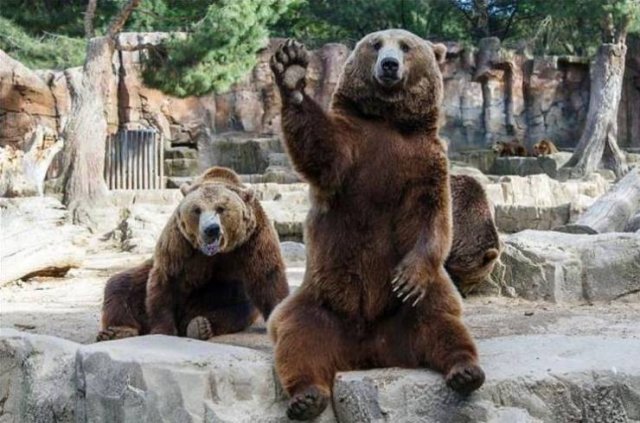 Acid Picdump. Part 1 (95 pics)