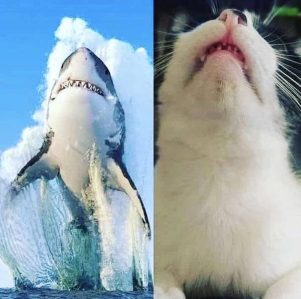Acid Picdump. Part 1 (95 pics)
