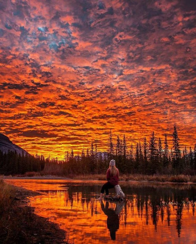 Amazing Photos (20 pics)