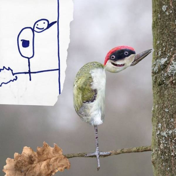 Dad Photoshopped Kids' Drawings (29 pics)
