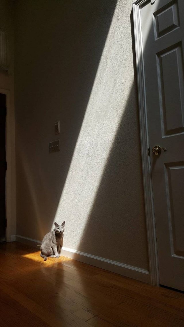 Amazing Photos (20 pics)
