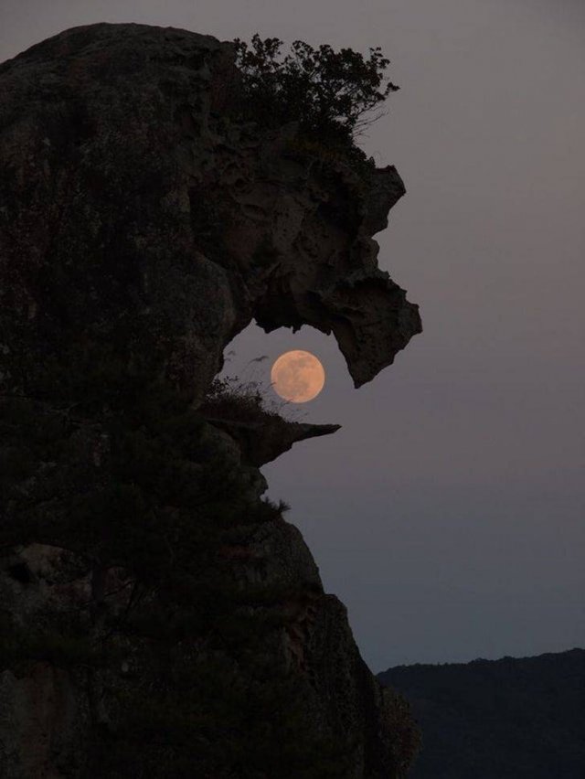 Interesting Faces And Objects (22 pics)