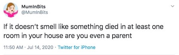 Parenting Tweets (24 pics)