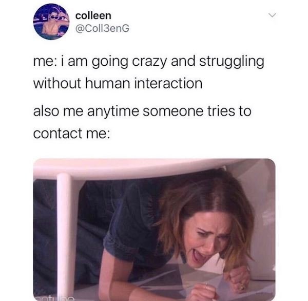 Quarantine Memes (34 pics)