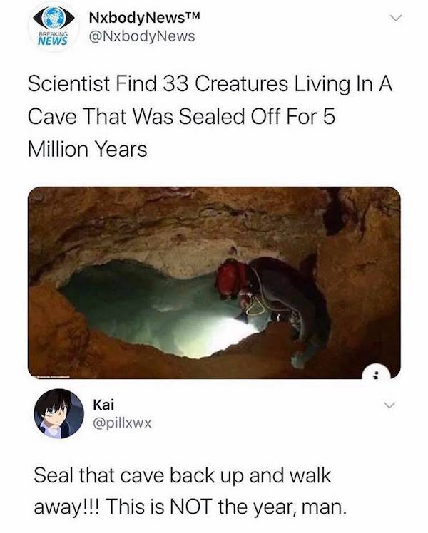 Quarantine Memes (34 pics)