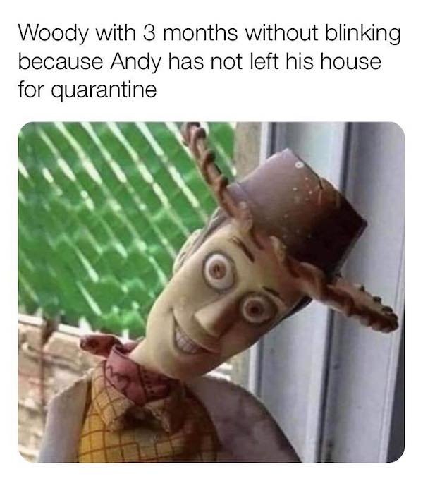 Quarantine Memes (34 pics)