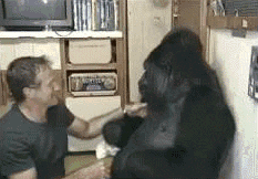 Robin Williams Quotes About Life (14 gifs) Robin Williams Quotes About Life (14 gifs)