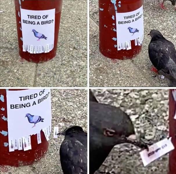 Acid Picdump. Part 2 (94 pics)