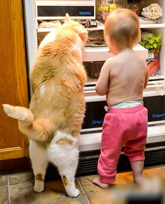 Acid Picdump. Part 2 (94 pics)