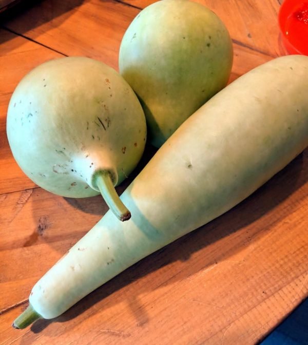 What Are These Things For? (19 pics)