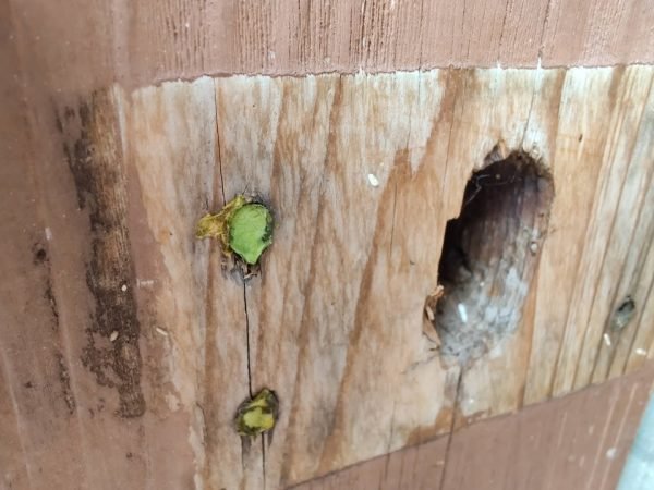 What Are These Things For? (19 pics)