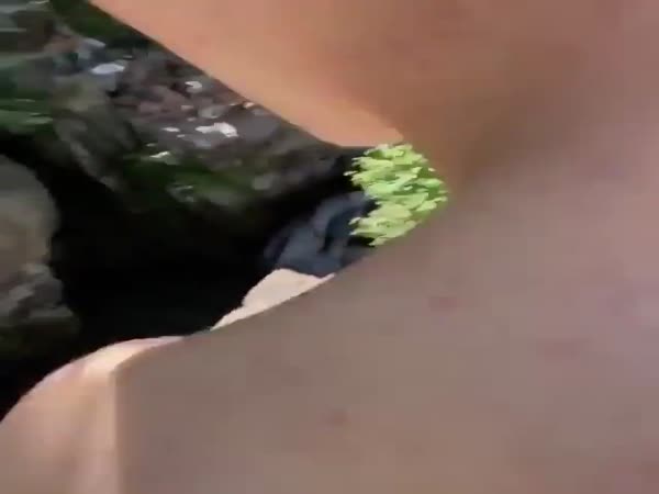 Grandpa Able To Jump From Up High