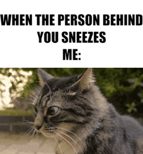 Random Funny Memes (43 pics)