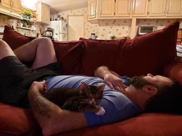 These People Refused To Have Pets (50 pics)