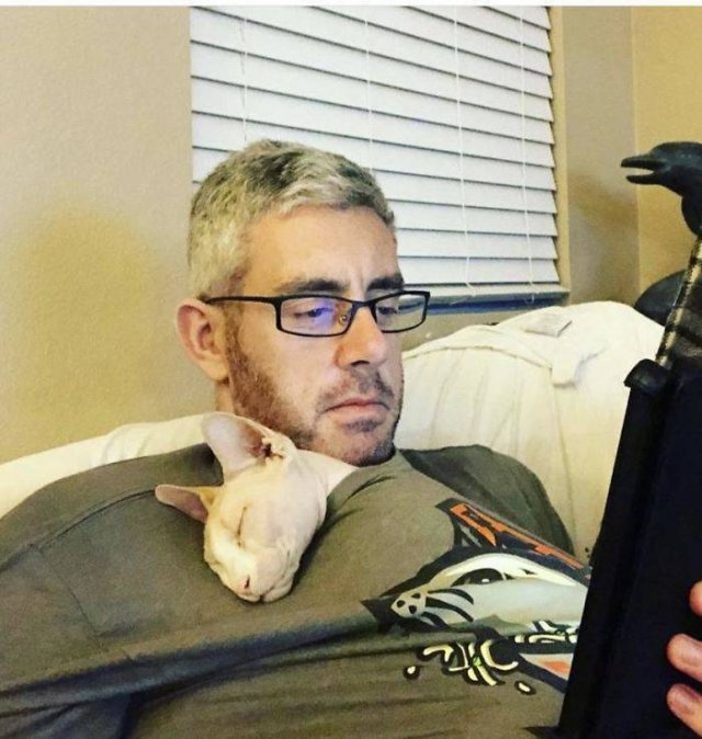 These People Refused To Have Pets (50 pics)