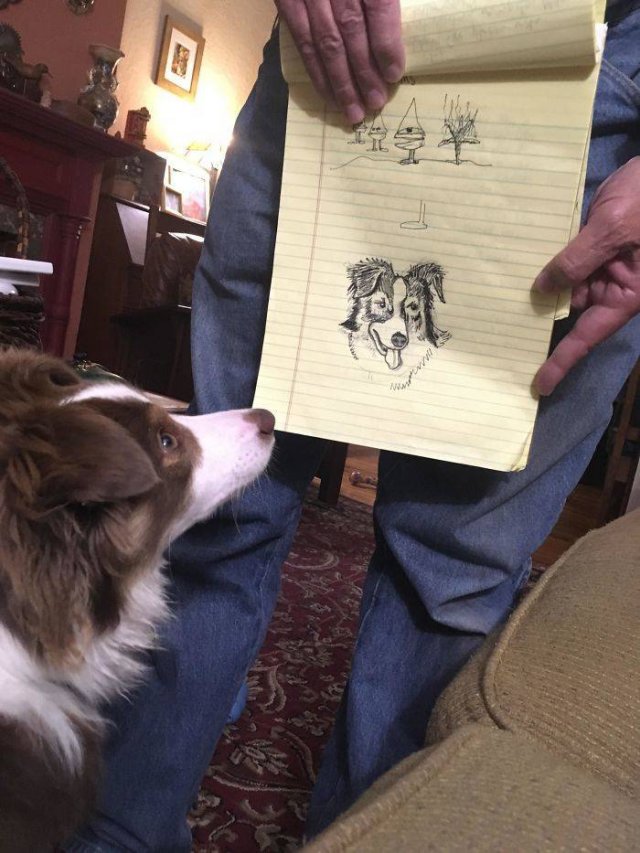 These People Refused To Have Pets (50 pics)