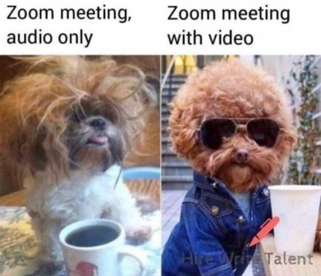 Random Funny Memes (43 pics)