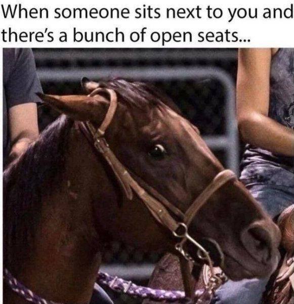 Random Funny Memes (43 pics)