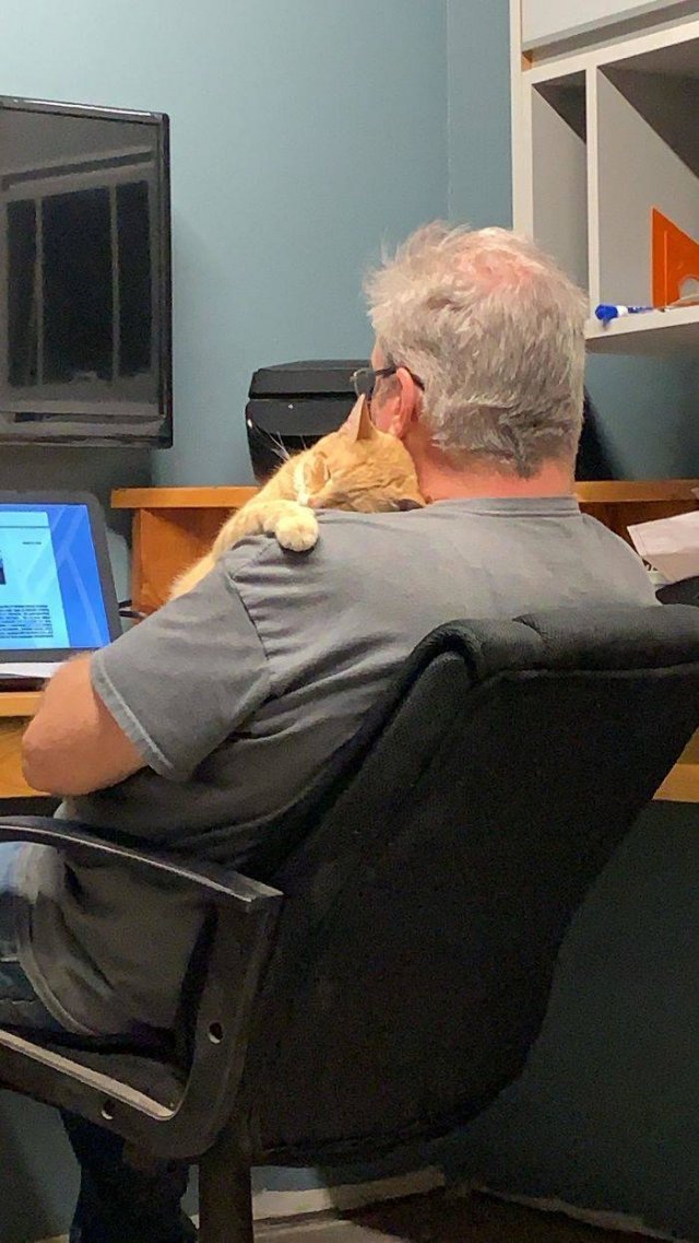 These People Refused To Have Pets (50 pics)