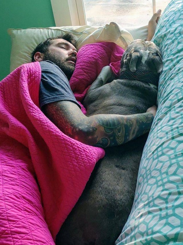 These People Refused To Have Pets (50 pics)