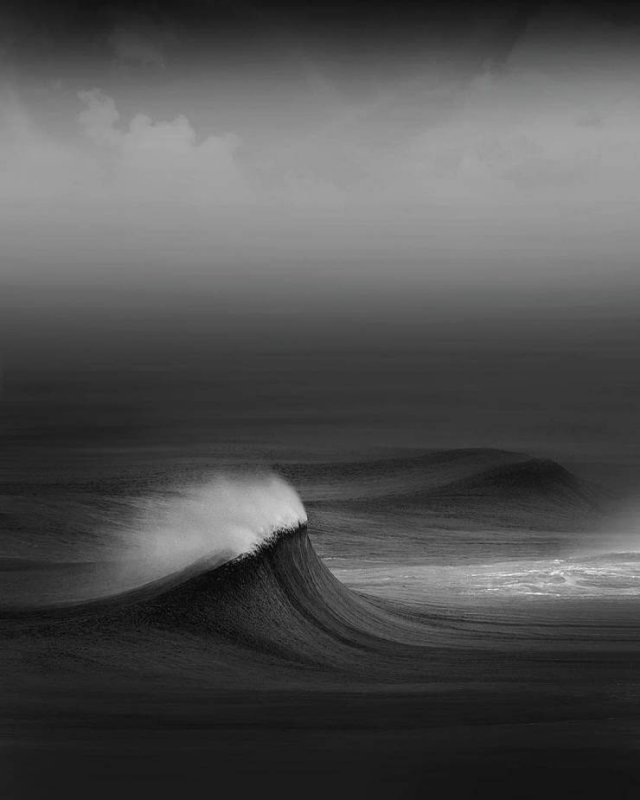 Ocean's Beauty (55 pics)