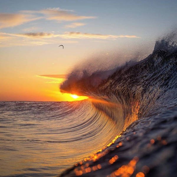 Ocean's Beauty (55 pics)