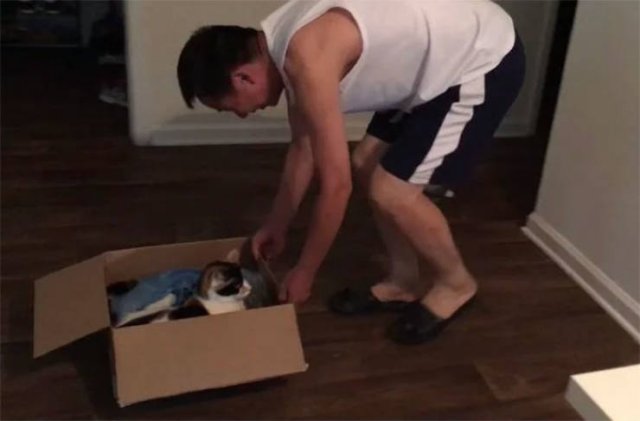 These People Refused To Have Pets (50 pics)